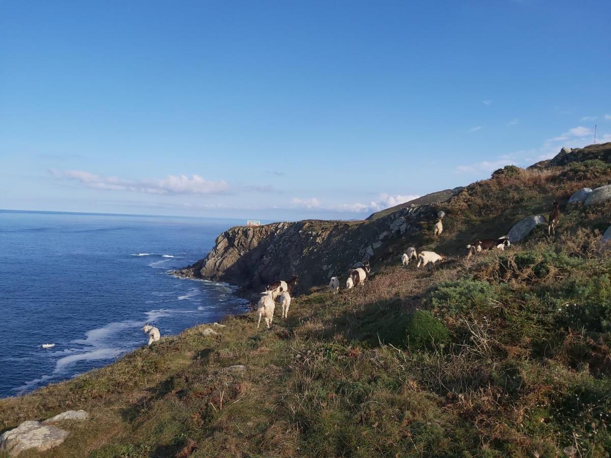 Hostal O Forno Porto do Barqueiro Eksteriør billede
